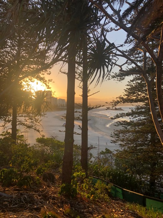 29A8F7E4-BAB3-44FA-834B-75C0BDFC030D